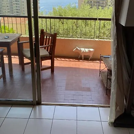 Terrasse Sur Monaco 2 Apartamento *