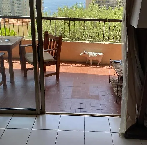 Terrasse Sur Monaco 2 Apartment *